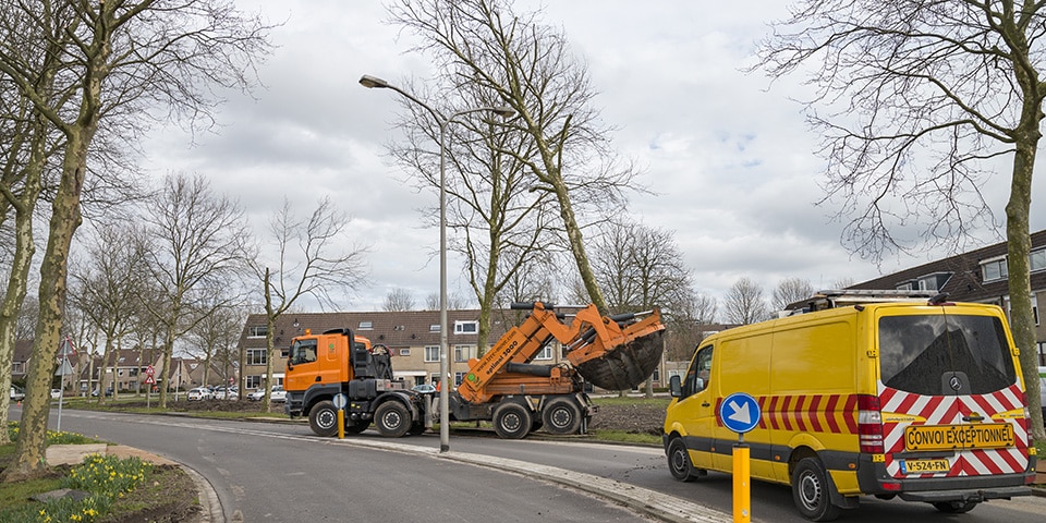 Honderdtien bomen verplant in Waddinxveen