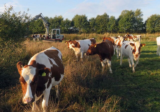 bossche_broek_ecologische_begeleding-kopieren