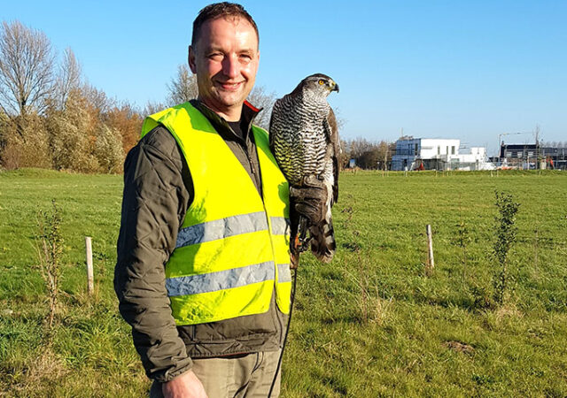 falco-20181117_1038391-kopieren