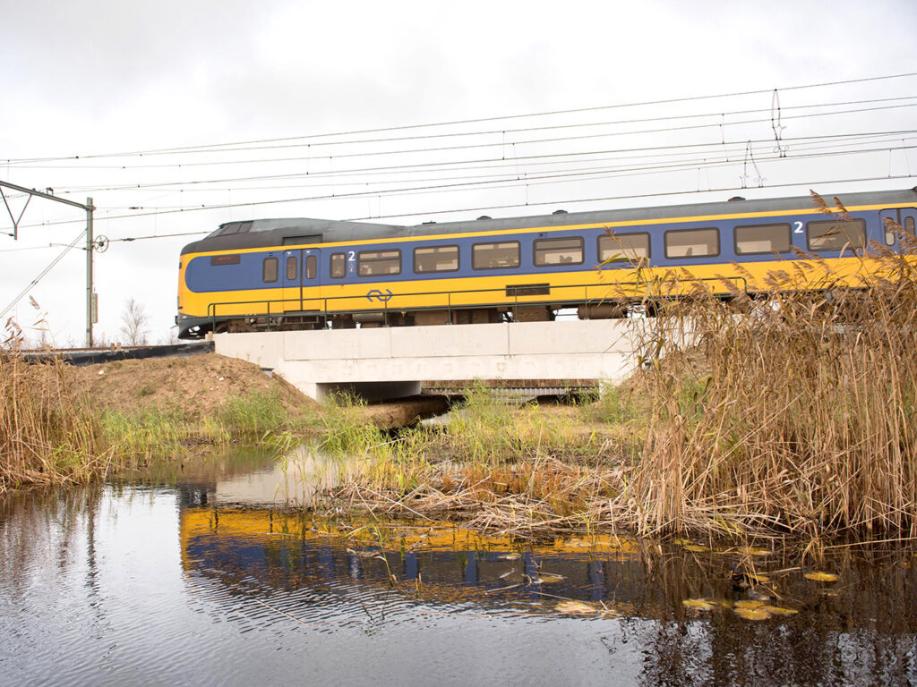 Natuur Naardermeer lift mee met spoorproject: ecoducten groot succes